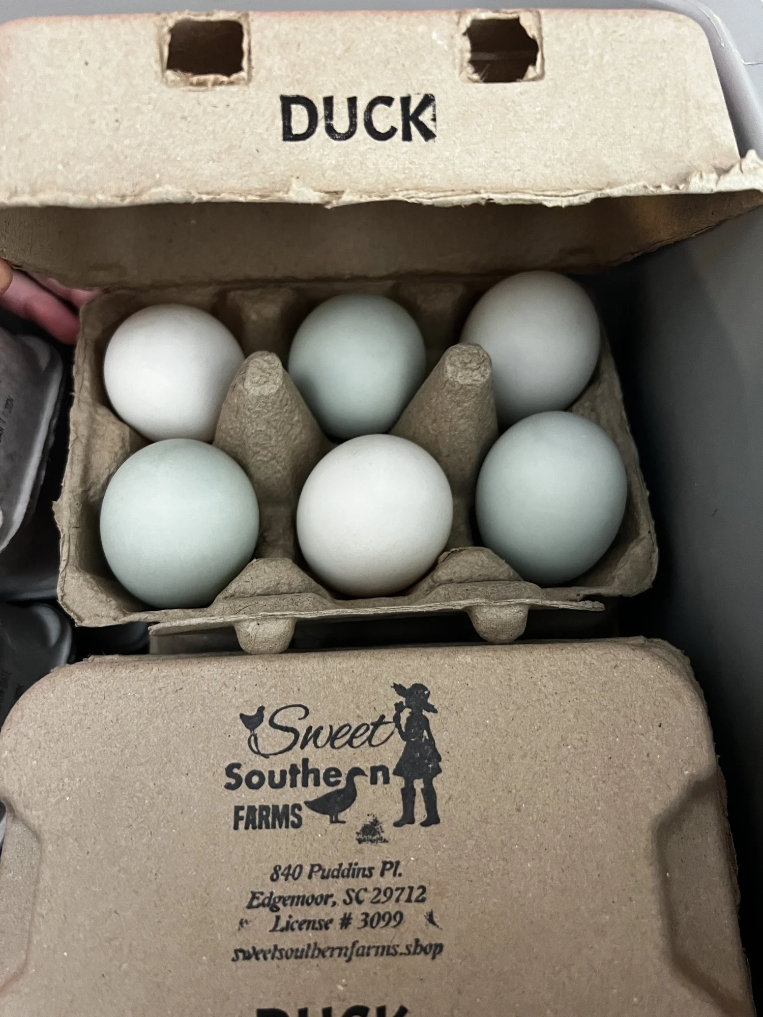 A carton of pale blue and white jumbo duck eggs